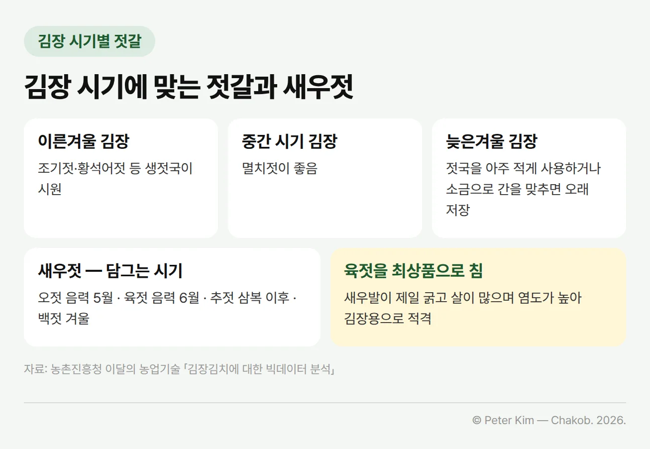 김장 시기에 맞는 젓갈과 새우젓을 정리한 카드입니다. 이른겨울 김장은 조기젓이나 황석어젓 등 생젓국이 시원하고, 중간에는 멸치젓이 좋으며, 늦은겨울에는 젓국을 아주 적게 사용하거나 소금으로 간을 맞추면 오래 저장할 수 있습니다. 새우젓은 담그는 시기에 따라 오젓(음력 5월), 육젓(음력 6월), 추젓(삼복 이후), 백젓(겨울)으로 구분되고, 새우발이 제일 굵고 살이 많으며 염도가 높은 육젓을 최상품으로 치며 김장용으로 적격입니다.