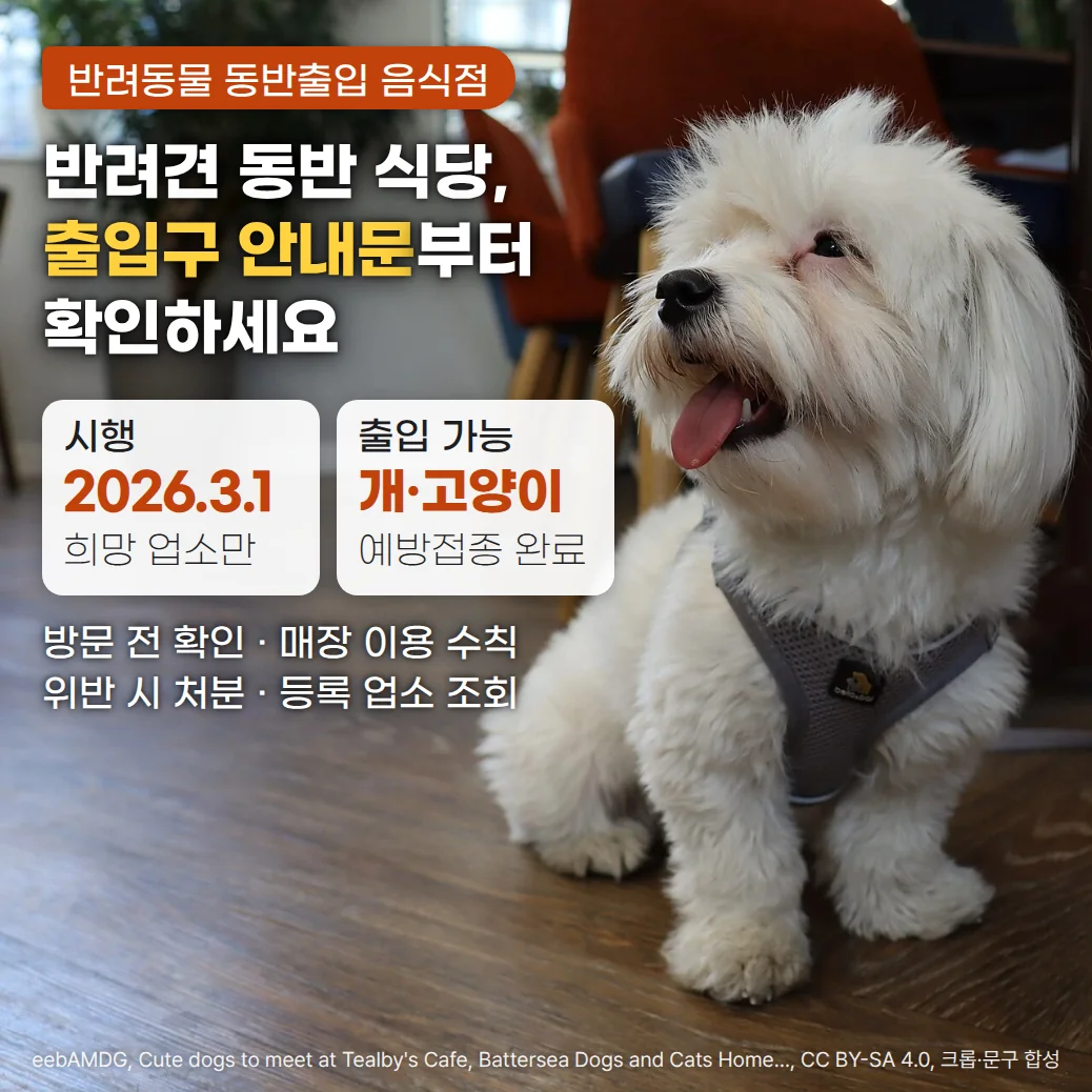 카페 의자와 화분 옆 나무 바닥에 하네스와 목줄을 한 흰 반려견이 앉아 있는 사진 위에 '반려동물 동반출입 음식점' 배지, '반려견 동반 식당, 출입구 안내문부터 확인하세요' 제목, 시행 2026.3.1 희망 업소만과 출입 가능 개·고양이 예방접종 완료 카드, '방문 전 확인 · 매장 이용 수칙 · 위반 시 처분 · 등록 업소 조회' 문구가 있는 커버