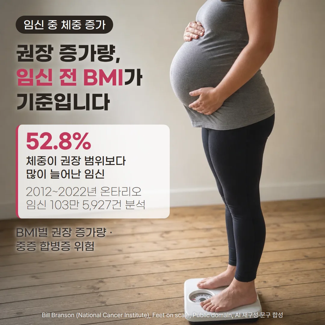 임신 체중 증가, BMI별 권장량·주별 기준 확인하기 (권장보다 많이 늘면 중증 합병증 위험)