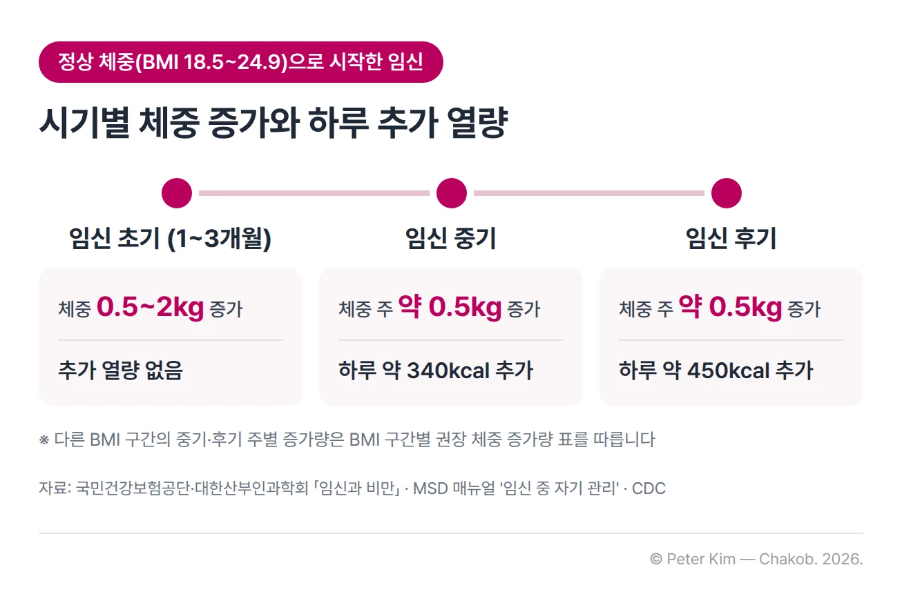 정상 체중(BMI 18.5~24.9)으로 임신을 시작한 여성의 시기별 기준 타임라인입니다. 임신 초기(1~3개월)에는 체중이 0.5~2kg 늘고 추가 열량은 필요 없습니다. 임신 중기에는 체중이 주 약 0.5kg 늘고 하루 약 340kcal를 더 섭취합니다. 임신 후기에는 체중이 주 약 0.5kg 늘고 하루 약 450kcal를 더 섭취합니다. 다른 BMI 구간의 중기·후기 주별 증가량은 BMI 구간별 권장 체중 증가량 표를 따릅니다