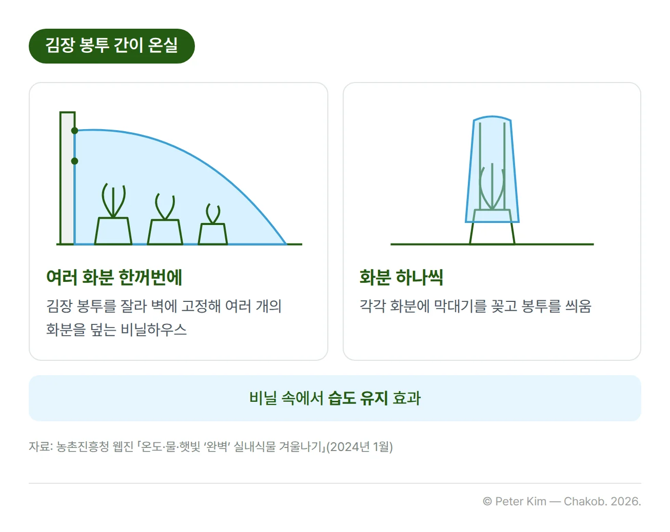 김장 봉투로 만드는 베란다 간이 온실 두 가지 방법. 왼쪽 '여러 화분 한꺼번에'는 김장 봉투를 잘라 벽에 고정해 여러 개의 화분을 덮는 비닐하우스를 선 그림으로 보여 줍니다. 오른쪽 '화분 하나씩'은 각각의 화분에 막대기를 꽂고 봉투를 씌우는 방법을 선 그림으로 보여 줍니다. 아래 띠에 '비닐 속에서 습도 유지 효과' 문구가 있습니다
