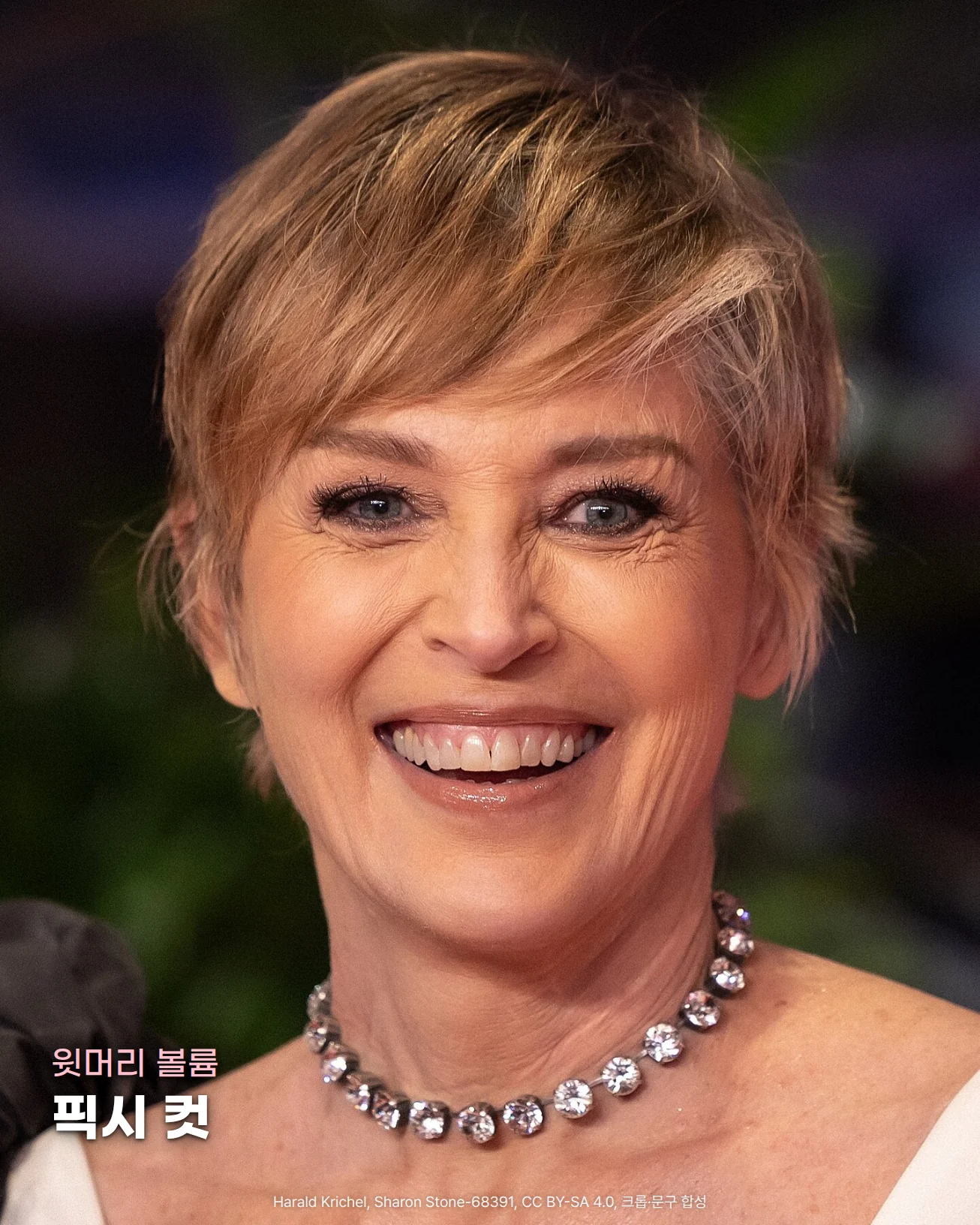 2024년 베를린 국제영화제에서 옆으로 길게 넘긴 앞머리와 볼륨을 살린 윗머리의 금발 픽시 컷을 한 Sharon Stone이 웃고 있는 상반신 사진 위에 '윗머리 볼륨', '픽시 컷' 문구가 놓인 이미지