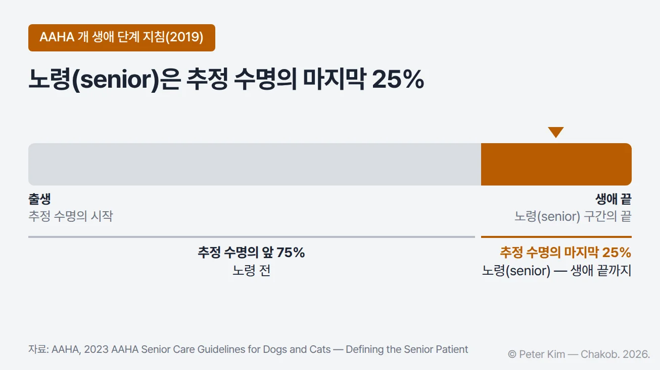 반려견의 추정 수명을 출생부터 생애 끝까지 가로 막대 하나로 나타내고, 그 마지막 25% 구간을 짙은 주황색으로 칠해 노령(senior)으로 표시한 도해. 미국동물병원협회(AAHA)의 2019년 「개 생애 단계 지침」이 노령을 추정 수명의 마지막 25%부터 생애 끝까지로 정의한다는 내용