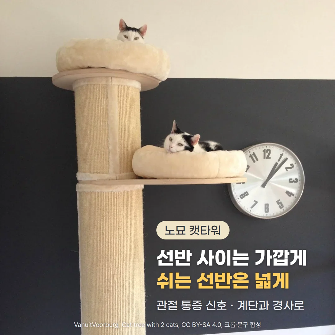 삼줄이 감긴 원기둥 캣타워의 맨 위와 중간 쿠션 바구니 선반에 흑백 고양이 두 마리가 각각 엎드려 쉬고 있고, 짙은 회색 벽 오른쪽 아래에 '노묘 캣타워' 배지와 '선반 사이는 가깝게, 쉬는 선반은 넓게' 제목, '관절 통증 신호 · 계단과 경사로' 부제가 있는 커버 이미지