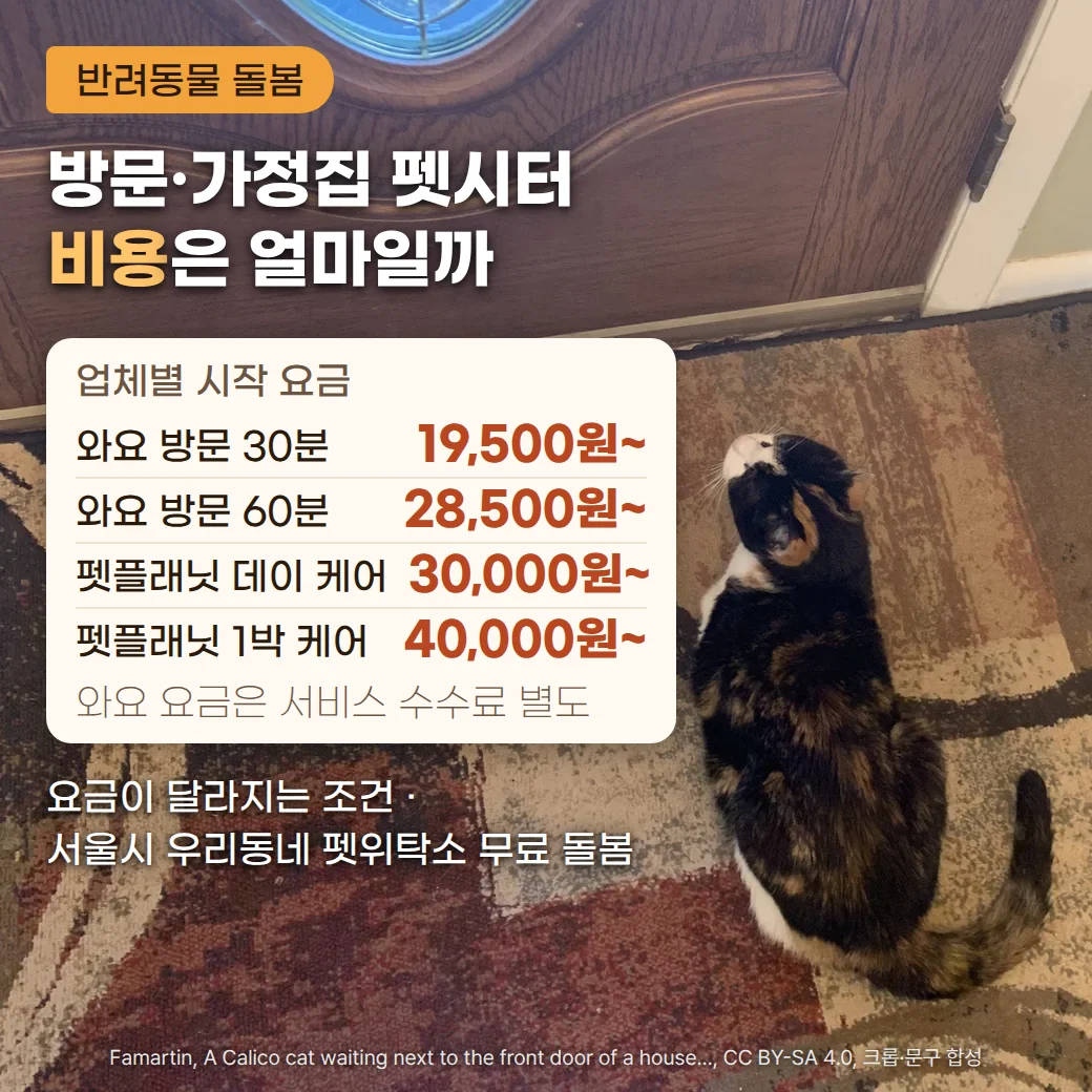 현관문 앞 러그에 앉아 닫힌 문을 올려다보는 삼색 고양이 사진 위에 '반려동물 돌봄' 배지, '방문·가정집 펫시터 비용은 얼마일까' 제목, 와요 방문 30분 19,500원~·60분 28,500원~, 펫플래닛 데이 케어 30,000원~·1박 케어 40,000원~과 와요 요금은 서비스 수수료 별도라는 시작 요금 카드, '요금이 달라지는 조건 · 서울시 우리동네 펫위탁소 무료 돌봄' 안내가 있는 커버
